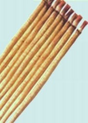 柳川理想牛蒡