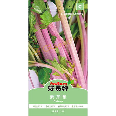 紫芹菜