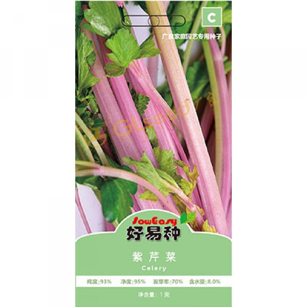 紫芹菜