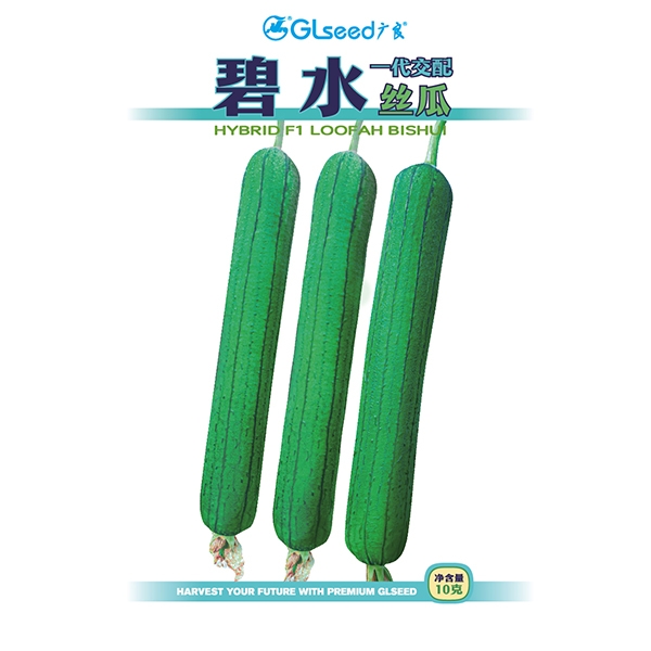 碧水丝瓜