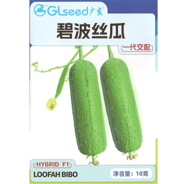 碧波丝瓜