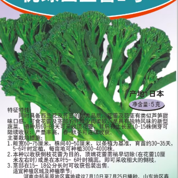 优胜2号西兰苔