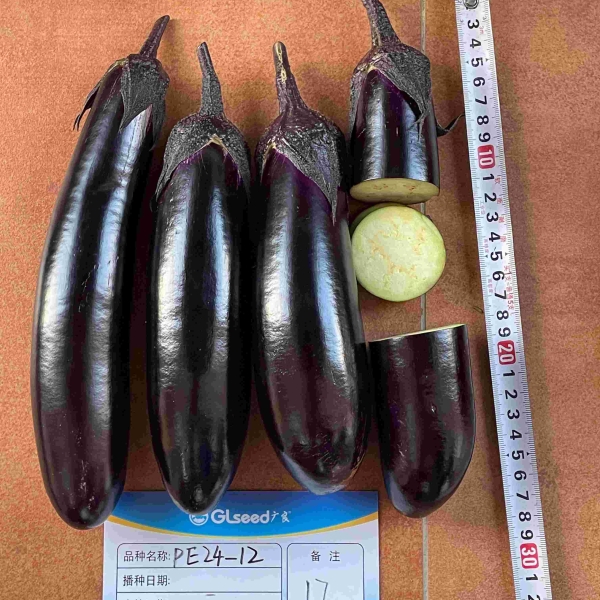PE24-12茄子（预告）