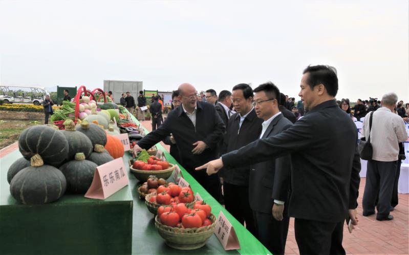 广良珠海平沙示范基地(图2)