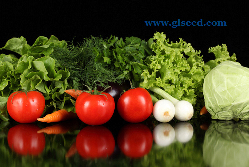 生产绿色蔬菜、食品使用的肥料(图2)