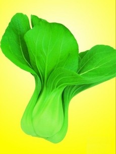 金夏莳青梗菜
