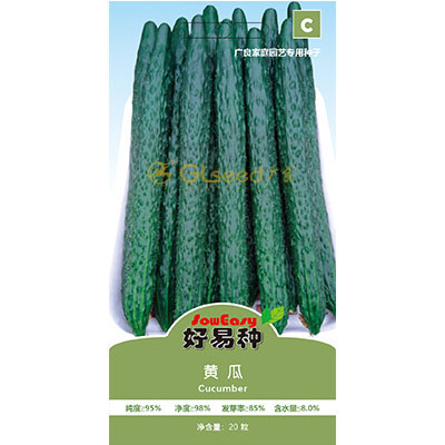 黄瓜