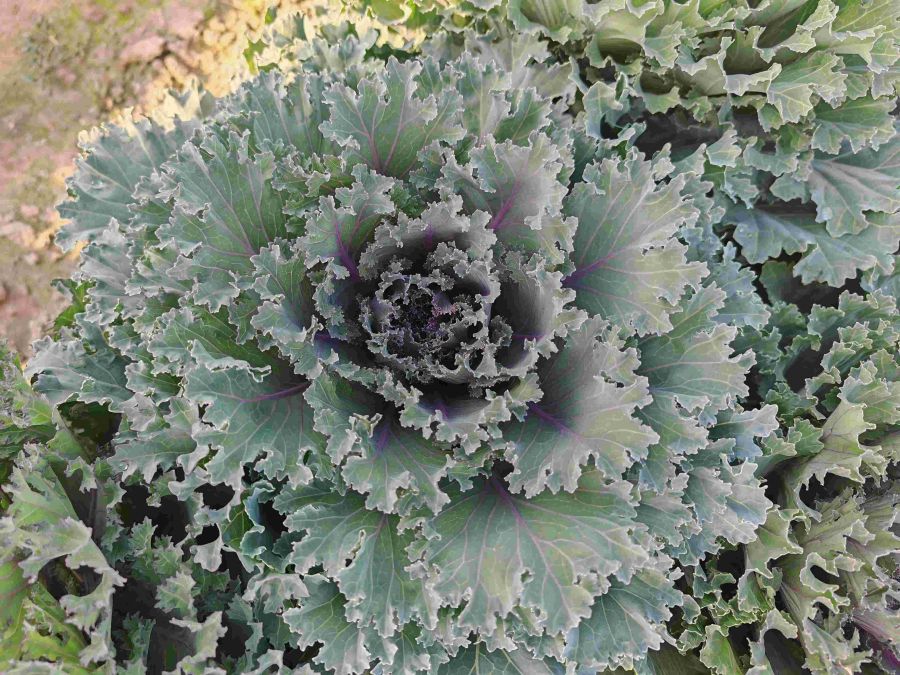 GL-YK-12（预告）