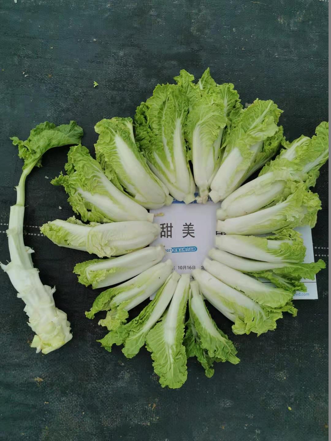 甜美白菜苔