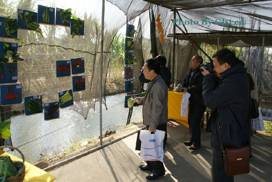 2011年广良新品种展示会(图6)