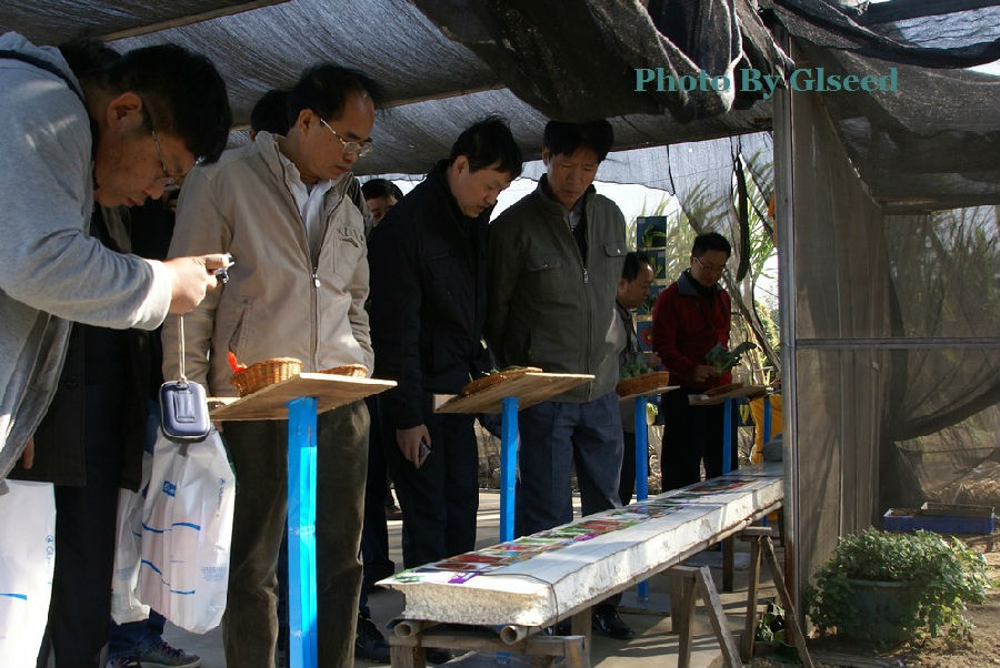 2011年广良新品种展示会(图5)