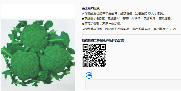 富士绿青花菜栽培技术 广良种子